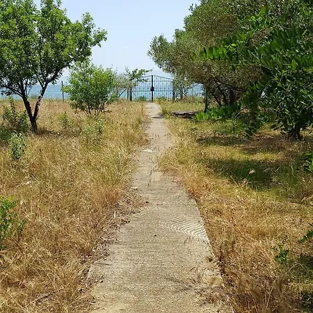 Beachfront Hidden Gem!!! *