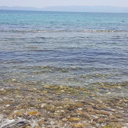 Beachfront Hidden Gem!!! Prázdninový dům